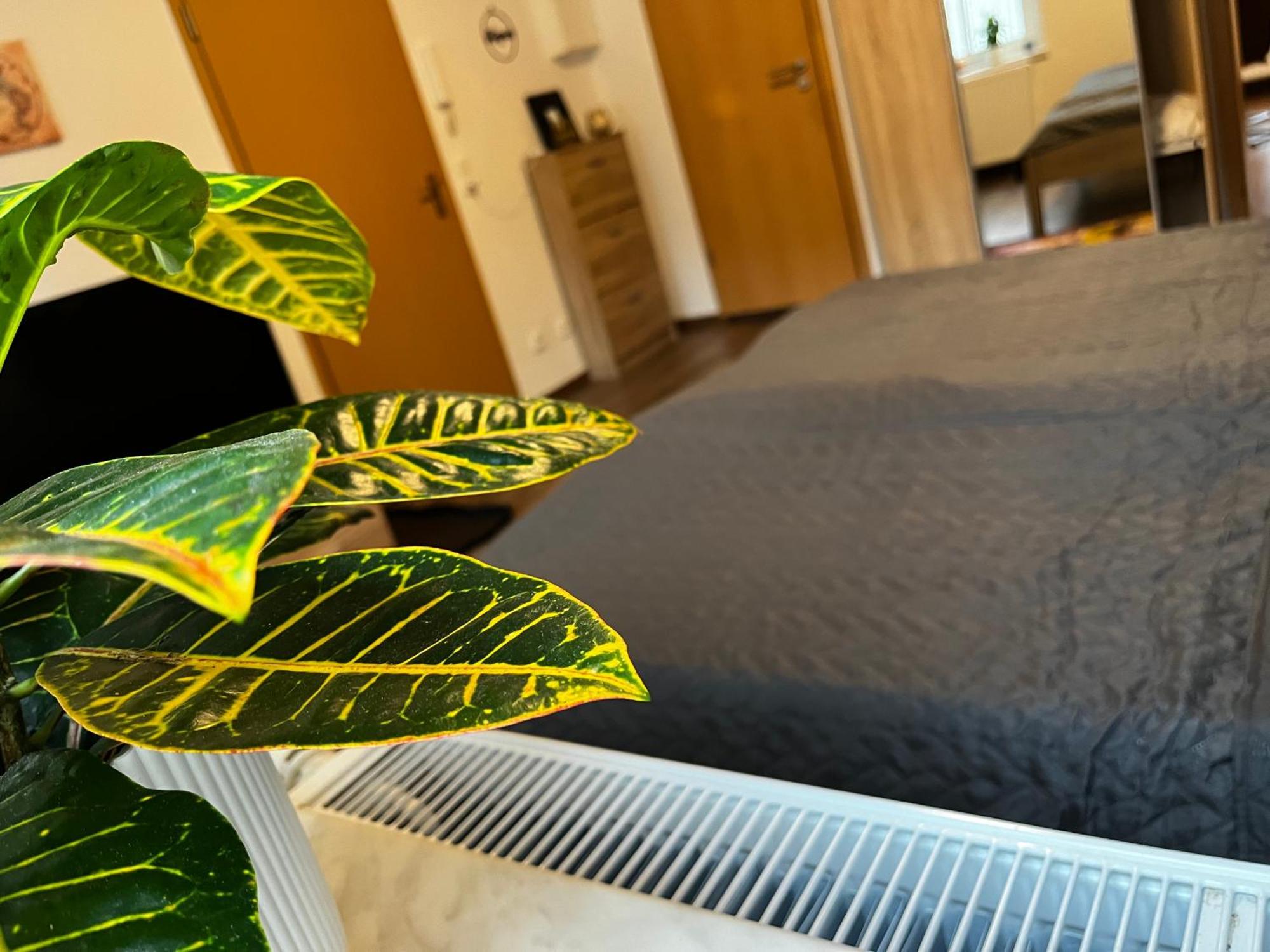 Karli'S Plaetzchen Apartamento Gera Exterior foto